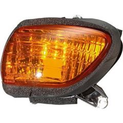 Turn Signal GL1800 Left Front