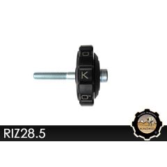 Kaoko cruise control Rizoma bar end mirrors and weights